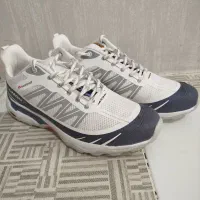 کتونی سالامون