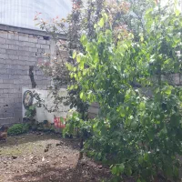 فروش و معاوضه ویلایی دوکله در لاهیجان، رسالت|فروش خانه و ویلا|لاهیجان, لیالستان|دیوار