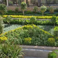 خدمات باغبانی گلکاری درختکاری   کوددهی کاشت گل|خدمات باغبانی و درختکاری|اسلامشهر, شهرک احمدیه|دیوار