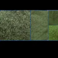 خوردنی|خوردنی و آشامیدنی|صدرا-فارس, فاز ۱|دیوار