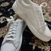 کفس ونس سفید