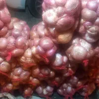 پیاز محلی سپیدان .|حراج|اهرم, |دیوار