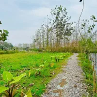 خرید-ویلا-برای-افراد-آینده-نگر