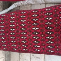 دو جفت پشتی|پشتی|بیرجند, |دیوار