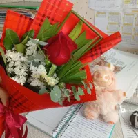 عروسک ترند لبوبو اصل