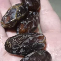 خرما ی شاوی