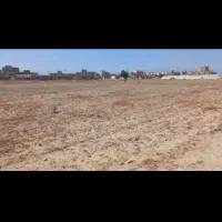 اجاره یک هکتار زمین کشاورزی واقع در شهرک انقلاب|اجارهٔ دفتر صنعتی، کشاورزی، تجاری|جیرفت, |دیوار