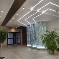 خدمات تخصصی نورپردازی و لاین نوری شیراز