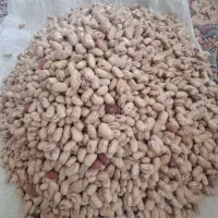 لوبیا چیتی|خوردنی و آشامیدنی|عجب شیر, |دیوار