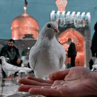 تور ریلی اقتصادی مشهد
