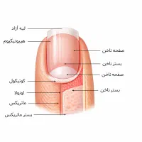 آموزش حضوری ناخنکارشو مخصوص شب عید