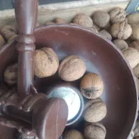 کاردر منزل واقعی بدون مهارت گردو بشکن پول بگیر|استخدام صنعتی، فنی، مهندسی|تهران, منیریه|دیوار