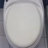 توالت فرنگی