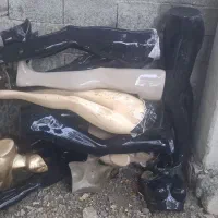 مانکن*رگال