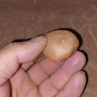 سنگ قیمتی|زیورآلات و اکسسوری|فاروج, |دیوار