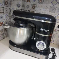 هم زن برقی