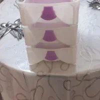 فایل سه طبقه مناسب جاقاشقی و...