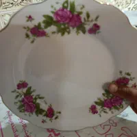 بشقاب پلو خوری ومیوه خوری