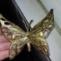 پروانه برنجی