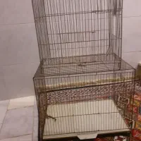 دوتا قفس باهم ۲۵۰تومن