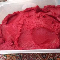 رب خانگی