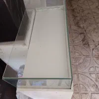 ویترین پیشخوان دزدگیر چوبکار آینه|فروشگاه و مغازه|گرگان, |دیوار