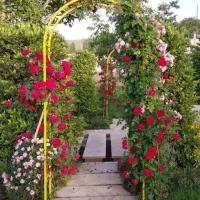 خدمات باغبانی طراحی فضای سبز و گلکاری