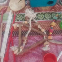 قفس|لوازم جانبی حیوانات|تبریز, |دیوار