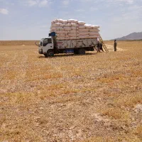 خریدار کاه گندم و جو