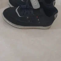 پالتو و کاپشن|لباس|نهاوند, |دیوار