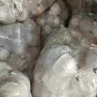 لامپ فوق کم مصرف ال ای دی|لامپ و چراغ|تهران, شیخ هادی|دیوار