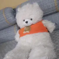 خرس