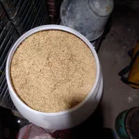 تخم جو هاشمی د رجه یک سورت شده