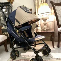 کالسکه عصایی حرفه ای  آلمانی تحمل وزن بالا