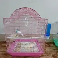 قفس و مرغ عشق