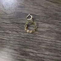 یک عدد گوشواره گم‌شده