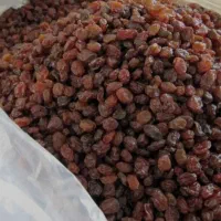 نعنا،شوید،شیره،ابغوره|خوردنی و آشامیدنی|اشتهارد, |دیوار