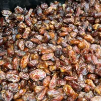 خرمای شکر