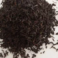 چای بهاره لاهیجان