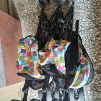 کالسکه دلیجان دوقلو