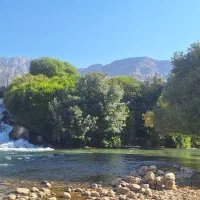 تور
