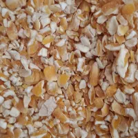 ذرت|عمده‌فروشی|مشهد, امین آباد|دیوار