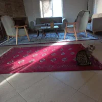اجاره آپارتمان