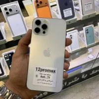 12promax silver