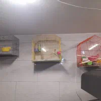 قفس‌ پرنده‌ قناری فنچ مرغ عشق طوطی