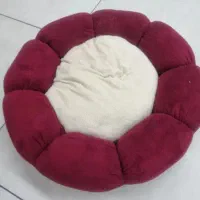 وسایل سگ و گربه ، برس و ظرف غذا و ...