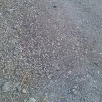 زمین کشاورزی