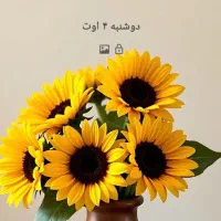 پزشک عمومی و ماما