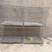 قفس بزرگ