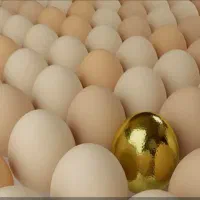 زندگی|آرایشی، بهداشتی، درمانی|ماهیدشت, |دیوار